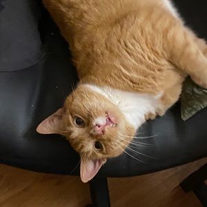 Meet your Posher, Jj